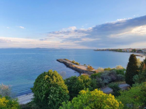 Beautiful sea view apartment first line